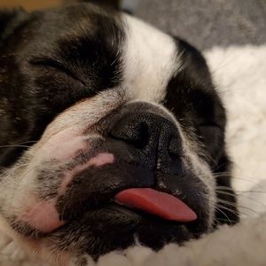 Meet your Posher, Sue